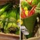 Thai Supermarket Goes Viral For Its Environmentally-Friendly Banana Leaf Packaging - WORLD OF BUZZ 6