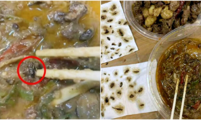 This Woman Ordered Duck Stew from a Food Delivery, But Found 40 Cockroaches Instead - WORLD OF BUZZ 1
