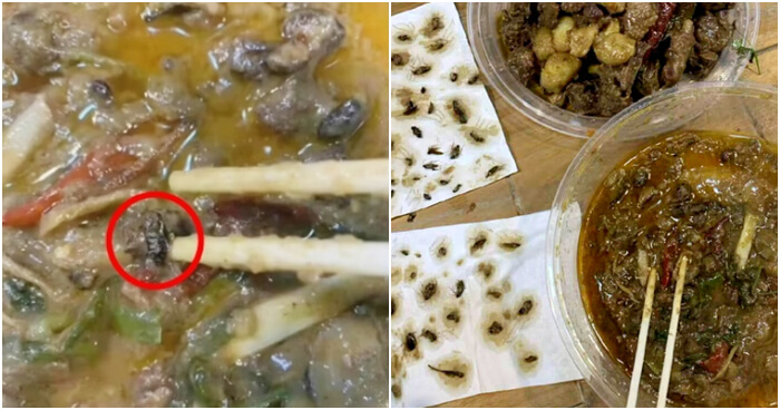 This Woman Ordered Duck Stew from a Food Delivery, But Found 40 Cockroaches Instead - WORLD OF BUZZ 1