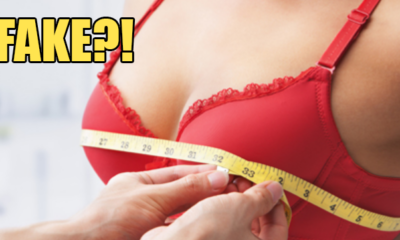 Update: Study That Said M'sian Women Have the Second Smallest Boobs is a Hoax?! - WORLD OF BUZZ 1