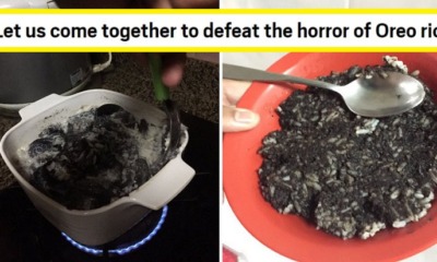 Viral Tweet Says "Oreo Rice" is "Sedap Gila", But M'sians & International Media Are Grossed Out - WORLD OF BUZZ