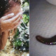 Woman Washes Face With Spring Water While Hiking, Leech Ends Up Slipping In Her Nose - WORLD OF BUZZ 1
