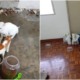 8 Cats Found Starved to Death After Being Abandoned by Owner in Cheras Home for Over a Month - WORLD OF BUZZ 2