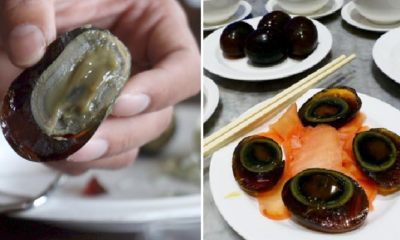 Authorities Seized Century Eggs Being Sold in Italy, Says They Are "Unfit for Human Consumption" - WORLD OF BUZZ 2