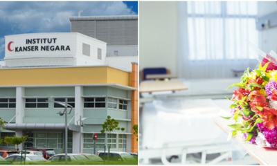 Cancer Patient Visitors Banned from Bringing Fresh Flowers For Risk of Infections - WORLD OF BUZZ 1