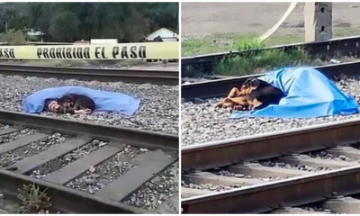 Heartbreaking Photos Show Dog Refusing to Leave Dead Owner's Side - WORLD OF BUZZ