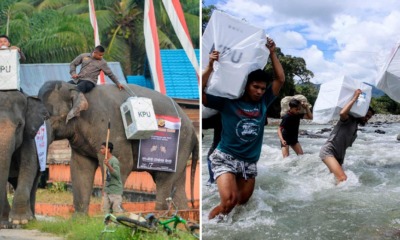 Indonesian Election Workers Had to Ride Elephants & Cross Rivers to Deliver Ballot Boxes to 800,000 Polling Stations - WORLD OF BUZZ
