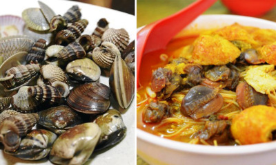 kerang