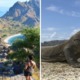 This Popular Indonesian Island Will Be Closed to Tourists For A Year Because People Are Smuggling Its Komodo Dragons on FB - WORLD OF BUZZ