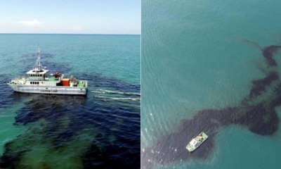 Marine Department: Nearly 300 Tonnes Of Oil Was Dumped Into Johor Sea - WORLD OF BUZZ