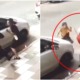 M'sian Man Attacked by Stranger Wielding Parang, Barely Escapes Thanks to Brave Wife Who Protected Him - WORLD OF BUZZ 3