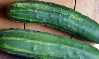 M'sian Woman Lodges Report Because Husband Loves Using Cucumber During Intense Sex - WORLD OF BUZZ