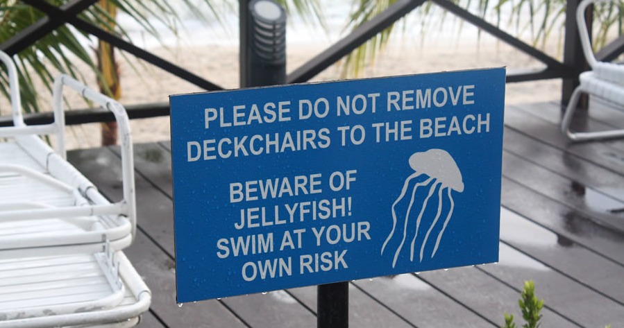 M'sians Advised Not To Swim in Penang Beaches Because of Jellyfish Invasion in May 2019 - WORLD OF BUZZ