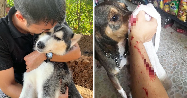 M'sians Travelling to Thailand to Brace for Hot Weather As Heatwave Is So Bad It's Killing Pets - WORLD OF BUZZ 8