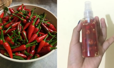 Netizen Shares Four Easy Steps to Make Affordable Pepper Spray Using Cili Padi - WORLD OF BUZZ