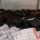 Over 20,000 Marked Ballot Papers From Indonesia Found in Bangi & Kajang Days Before General Election - WORLD OF BUZZ 2