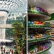 Singapore's Jewel Changi Airport With Pokemon Center is Ready to Open Next Week & It Looks Amazing! - WORLD OF BUZZ 1