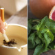 Study: Smokers Can Reduce The Urge to Smoke by Sniffing Pleasant Aromas Instead - WORLD OF BUZZ