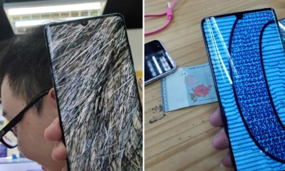 These Viral Photos & Videos Show Just How Mind-Blowing Huawei P30 Pro's Zoom Feature Really Is - WORLD OF BUZZ 1