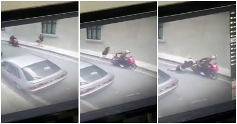 Video: Snatch Theft Steals And Drags Victim Caught On CCTV In Muar - WORLD OF BUZZ 5