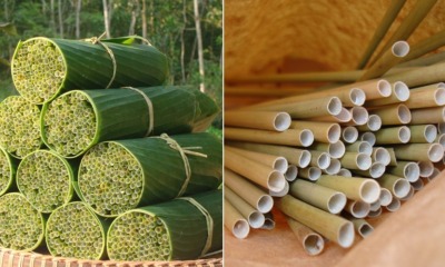 Vietnamese Youngster Makes Bio-Degradable Straws Made Out of Wild Grass & Sells Them Too - WORLD OF BUZZ