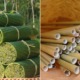 Vietnamese Youngster Makes Bio-Degradable Straws Made Out of Wild Grass & Sells Them Too - WORLD OF BUZZ