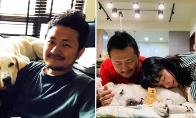 You'll Be Heartbroken After Reading This Author's Heartfelt Dedication To His Dying Dog - WORLD OF BUZZ 7