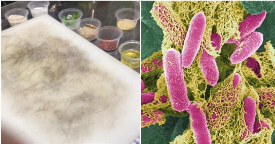 Your Old Dirty Chopping Board Can Contain 200 Times More Bacteria Than Your Toilet Seat - WORLD OF BUZZ 2