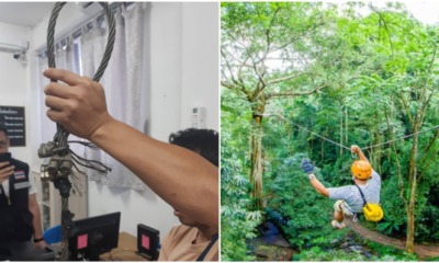 Ziplining Tourist in Chiang Mai Falls to Death After His Weight Causes the Cables to Break - WORLD OF BUZZ
