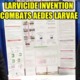 2 M'sian Students Invented Larvicide To Combat Aedes, Won Award In The US - WORLD OF BUZZ 2