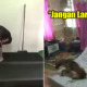3 UiTM Students Hilariously Try to Move a Stray Dog Without Harming It In Viral Video - WORLD OF BUZZ