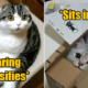 5 Common Behaviours of Cats & What They All Actually Mean - WORLD OF BUZZ