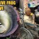 70yo Man Trapped In A Well For 37 Hours, Drank Dirt Water and Ate A Live Frog To Survive - WORLD OF BUZZ 7