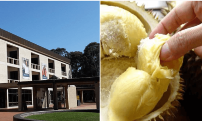 Durian Smell Caused More Than 500 Evacuated From Australian University Library - WORLD OF BUZZ 3