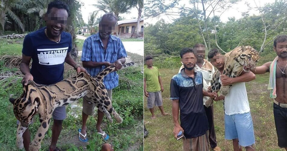 Five Men Arrested After Pictures Of Them Holding Endangered Dead Leopard in Melaka Went Viral - WORLD OF BUZZ