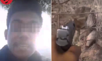 Police Finally Arrested Man Who Shot Monkey in Head For Failing To Say "Baby Sayang" - WORLD OF BUZZ