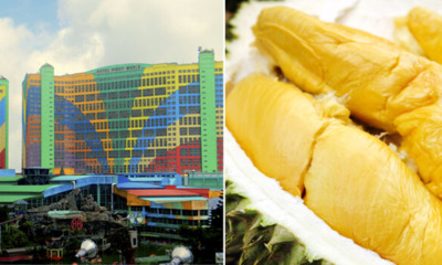 Genting Is Hosting Malaysia's Biggest Durian Festival From May to September 2019 - WORLD OF BUZZ