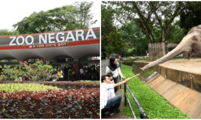 Malaysians Show Support By Flocking To Zoo Negara With Family & Friends In Tow - WORLD OF BUZZ