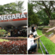 Malaysians Show Support By Flocking To Zoo Negara With Family & Friends In Tow - WORLD OF BUZZ