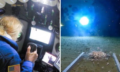 Man Breaks World Record For Deepest Submarine Dive, Finds Plastic Waste at Bottom Of The Ocean - WORLD OF BUZZ