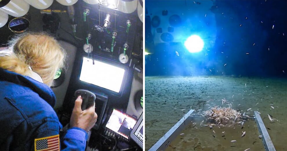 Man Breaks World Record For Deepest Submarine Dive, Finds Plastic Waste at Bottom Of The Ocean - WORLD OF BUZZ