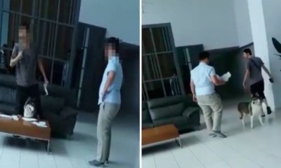 Man Brings His Dog to Apartment Lobby in Sungai Besi, Becomes Furious When Security Guard Confronts Him - WORLD OF BUZZ 1