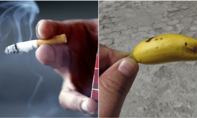 Scientist: Smoking Can Make Your Penis Shrink - WORLD OF BUZZ 3