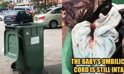 Security Dog Found A Newborn Baby in The Dumpster - WORLD OF BUZZ