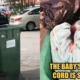 Security Dog Found A Newborn Baby in The Dumpster - WORLD OF BUZZ