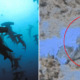 Slaughtered Sipadan Hammerhead Sharks in Sabah Shockingly Found by Foreign Diver - WORLD OF BUZZ