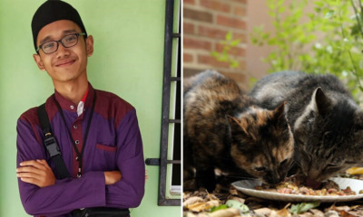 17yo Boy Who Feeds Stray Cats Every Day Dies in Accident On The Way to Feed Them - WORLD OF BUZZ