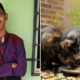 17yo Boy Who Feeds Stray Cats Every Day Dies in Accident On The Way to Feed Them - WORLD OF BUZZ