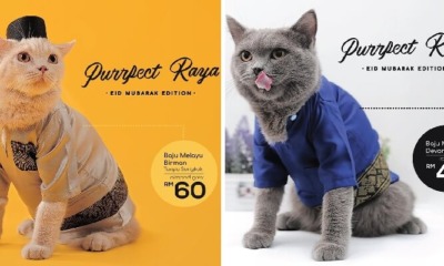 You Can Actually Get Cute Baju Raya For Your Cats Including Songkok at This Malaysian Shop! - WORLD OF BUZZ 8