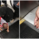 Small Child Gets Finger Stuck In Escalator Skirting In Bintulu Shopping Mall - WORLD OF BUZZ